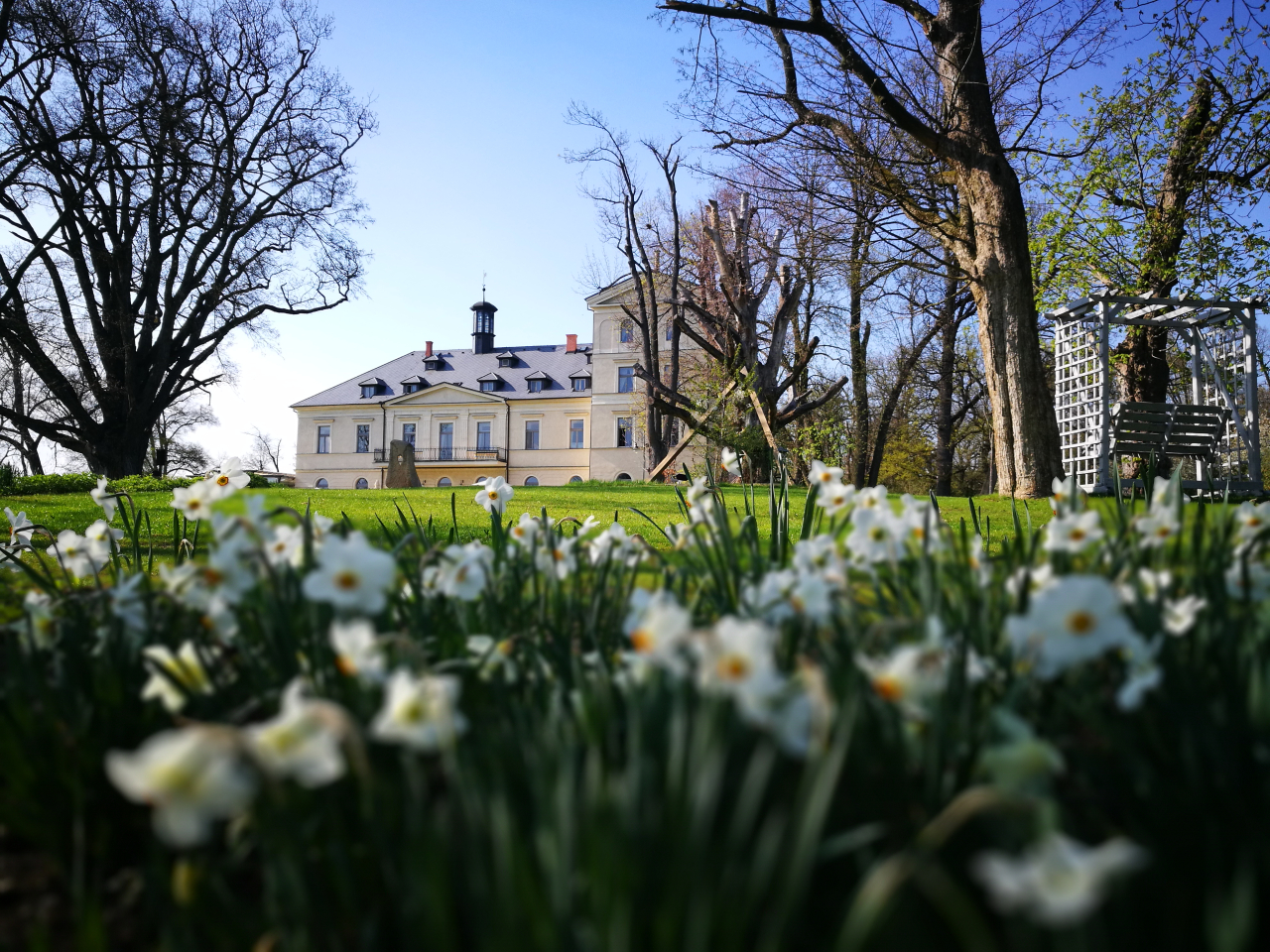 Mladá Boleslav 36 – gastrojourney.cz