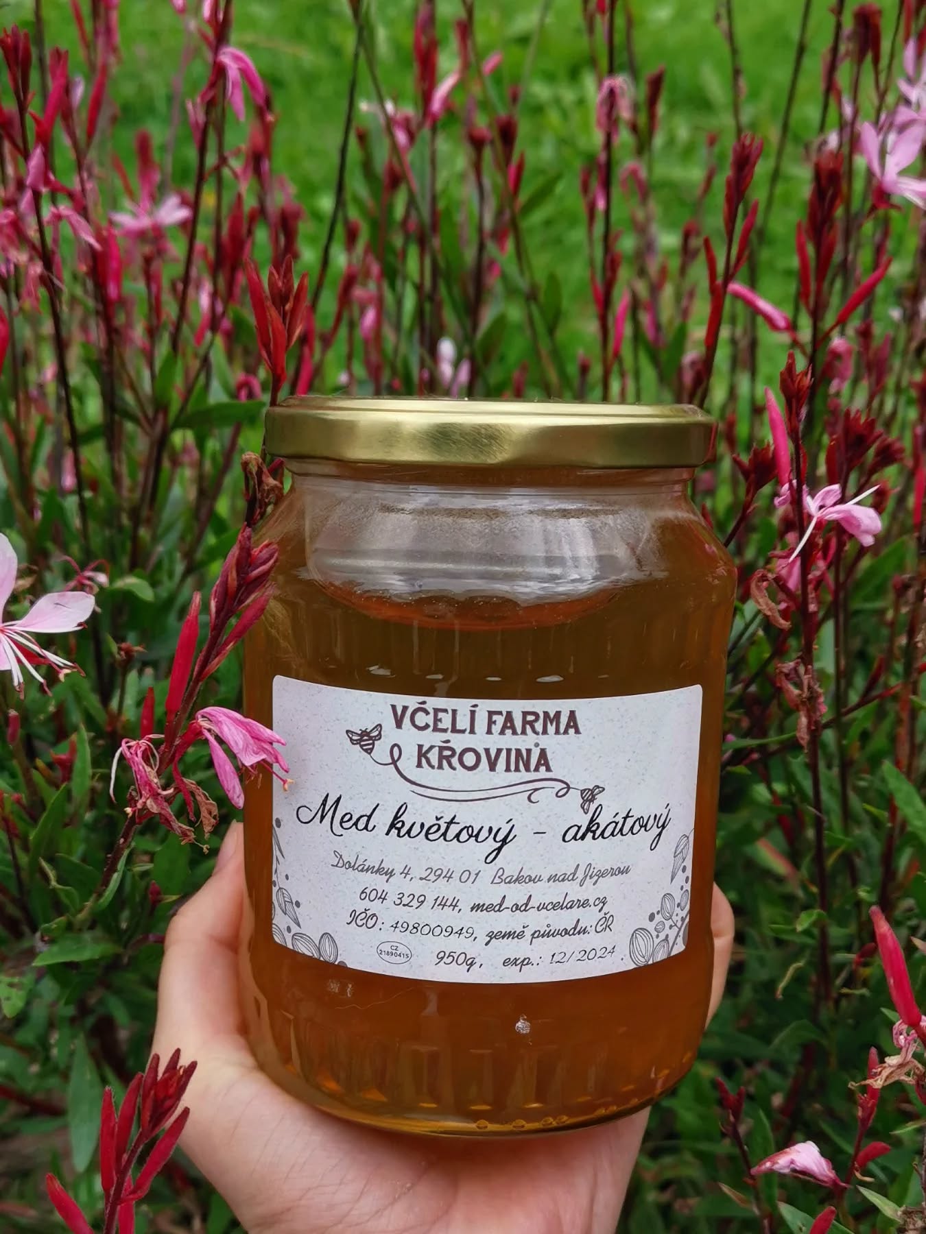 Mladá Boleslav 44 – cestazapozitky.cz